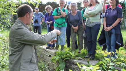 Reptile Monitoring training
